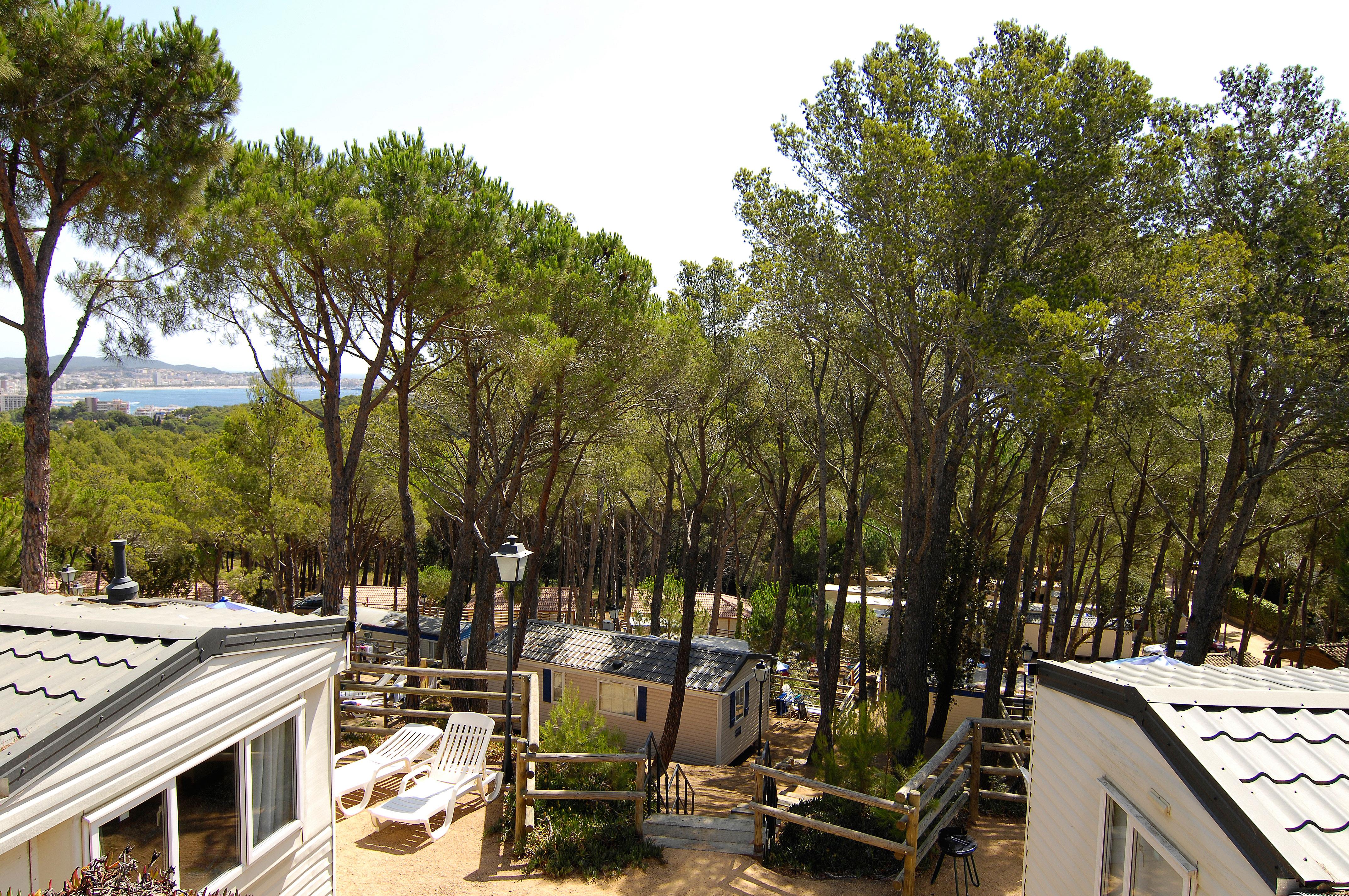 Camping Internacional de Calonge - Catalogna - Immagine n°4 Camping Internacional de Calonge - Catalogna - Immagine n°4