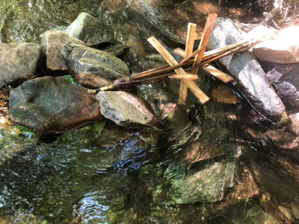 Camping Moulin de Chaules