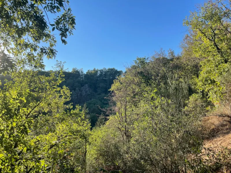 Safari Lodge Spa 2Ch