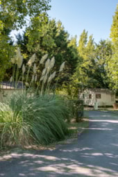 Camping Les Mizottes