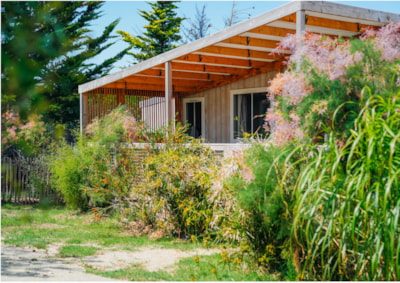 Privilège Mobile Home 2 bedrooms — 2