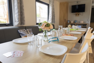 Tribu Privilège Mobile Home — 4