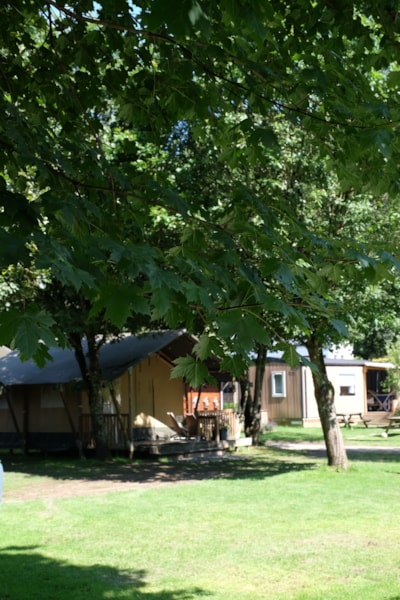 Safari tent (without toilet blocks)