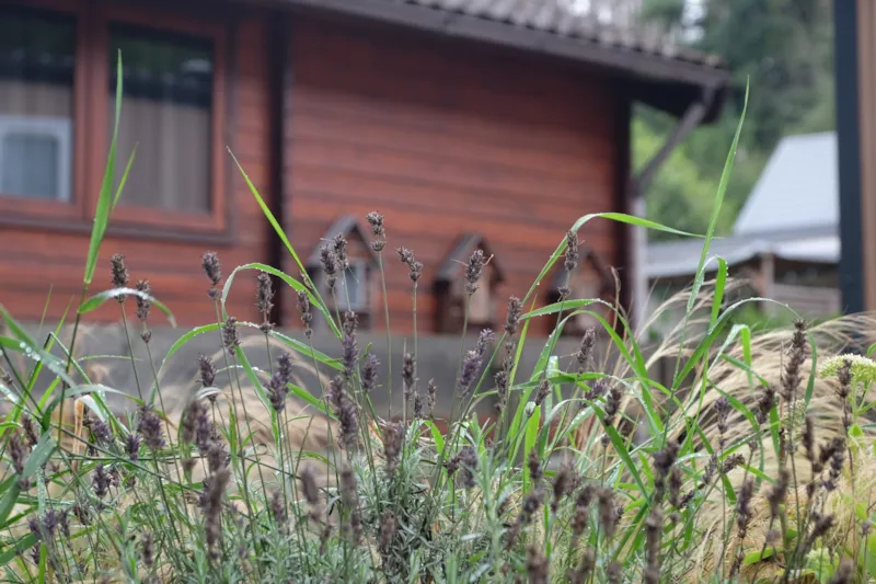 Cabane (Sans Sanitaires Privés)