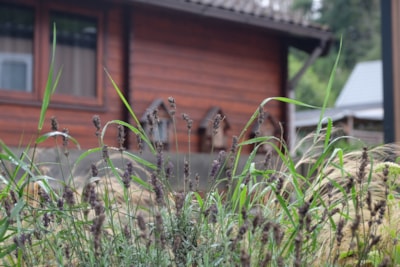 Wooden hut (without toilet blocks)