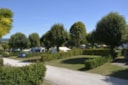 Emplacement Tente Ou Caravane Ou Camping-Car + Véhicule + Electricité Emplacement Tente Ou Caravane Ou Camping-Car + Véhicule + Electricité