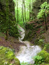 Foto #74 van Les Chalets de la Vingeanne