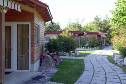 Chalet 'Camelia' - 30M² - 1 Camera