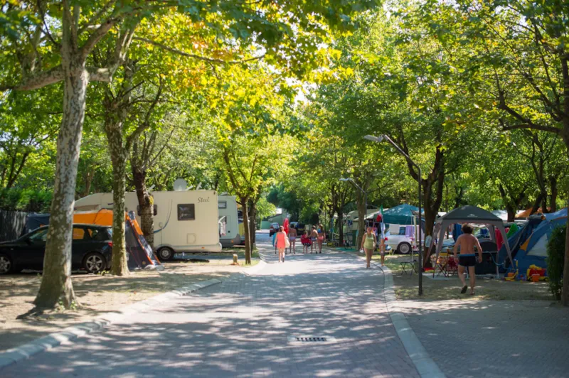 Emplacement A Voiture + Tente Ou Caravane Ou Camping-Car + Électricité 10A - 60M²