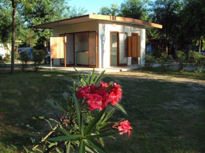 Pitch GOLD L tent or caravan or camping-car + complete private toilette + kitchen + 16A - 90/100 m² — 4