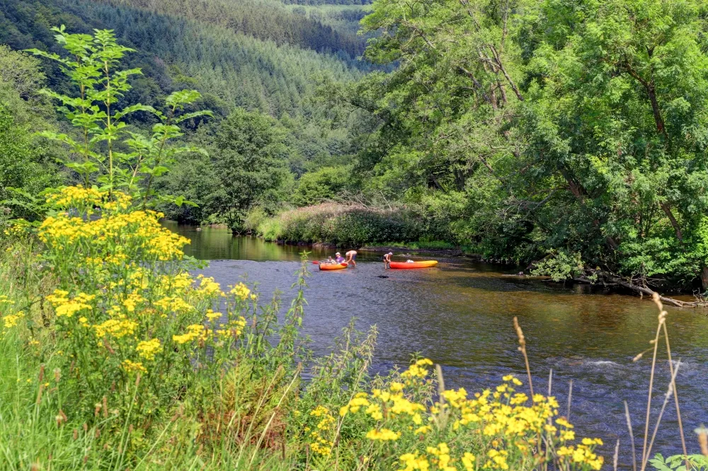 CAMPING FLOREAL LA ROCHE 