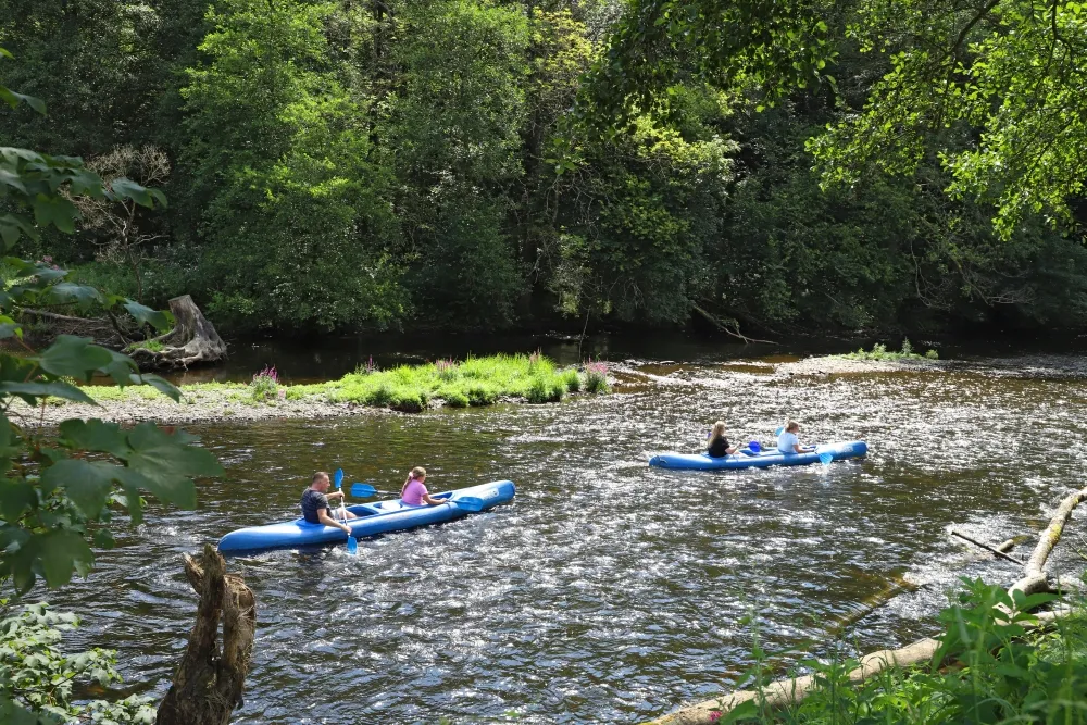 CAMPING FLOREAL LA ROCHE 