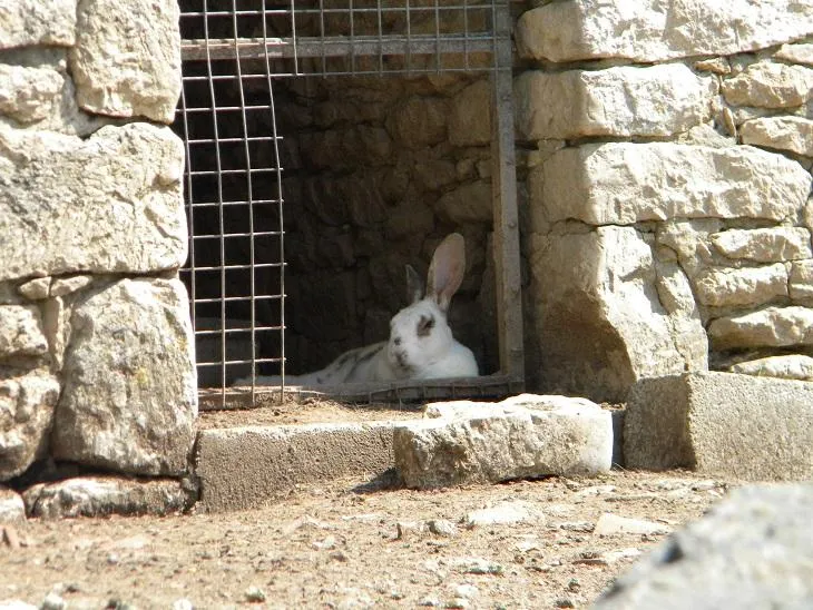 Camping Marvilla Parks - Clos Cottet