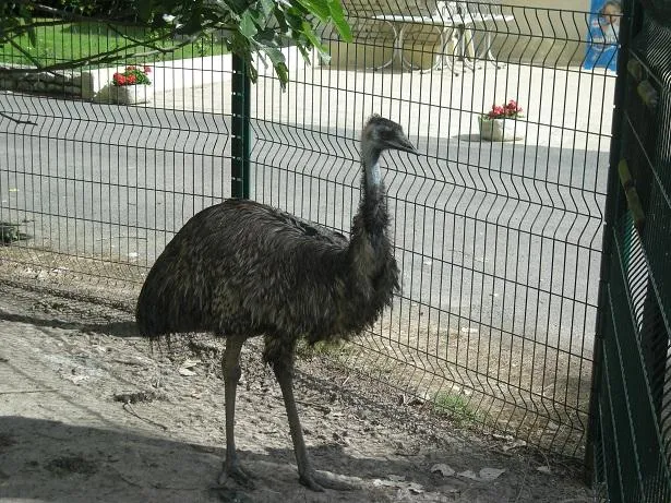 Camping Marvilla Parks - Clos Cottet