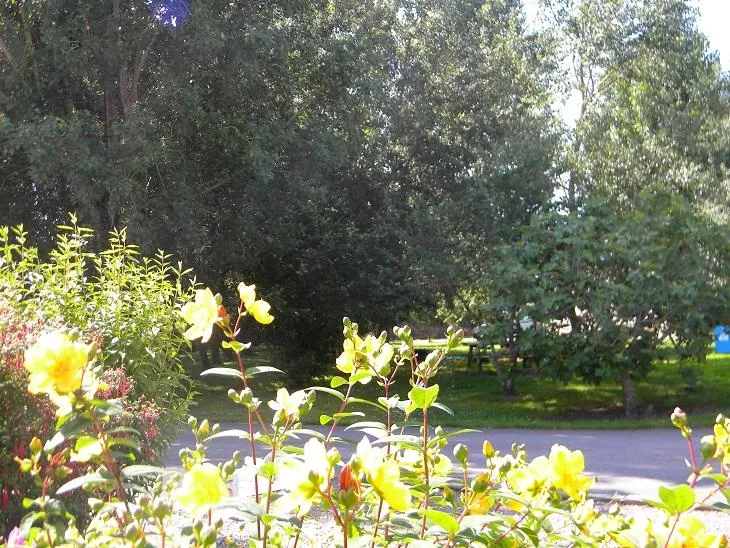 Camping Marvilla Parks - Clos Cottet