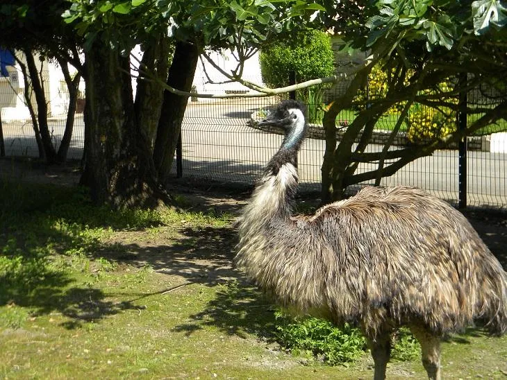 Camping Marvilla Parks - Clos Cottet