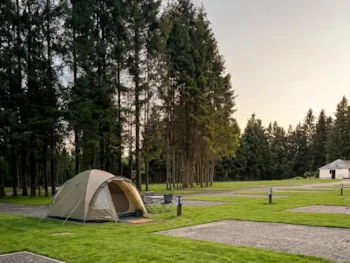 Kampeerplaats(en) - Comfortplaats - Arden Parks Vielsalm
