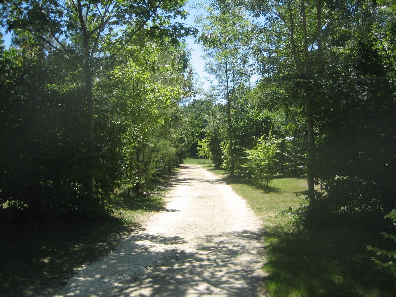 Camping de Bergougne — Photo 3
