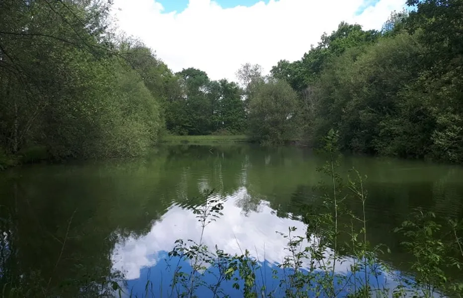 Camping de Bergougne