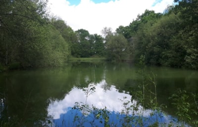 Camping de Bergougne