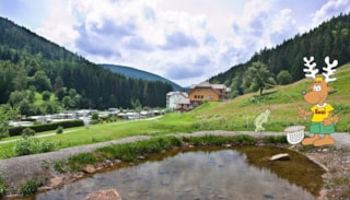  Camping-Kleinenzhof Bad-Wildbad Bade-Wurtemberg Allemagne