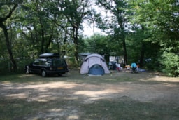 Kampeerplaats(en) - Kampeerplaats Caravan/Tent + Voertuig - Domaine naturiste de Chaudeau