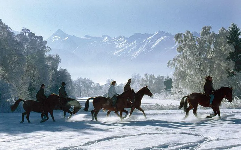 Sportcamping Woferlgut