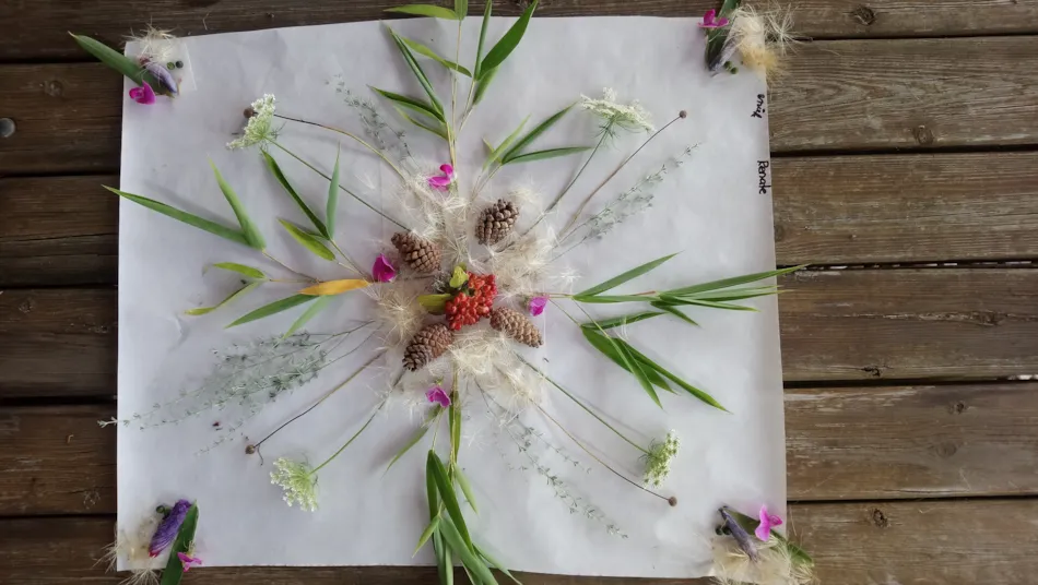 Camping FONTAINE DU ROC