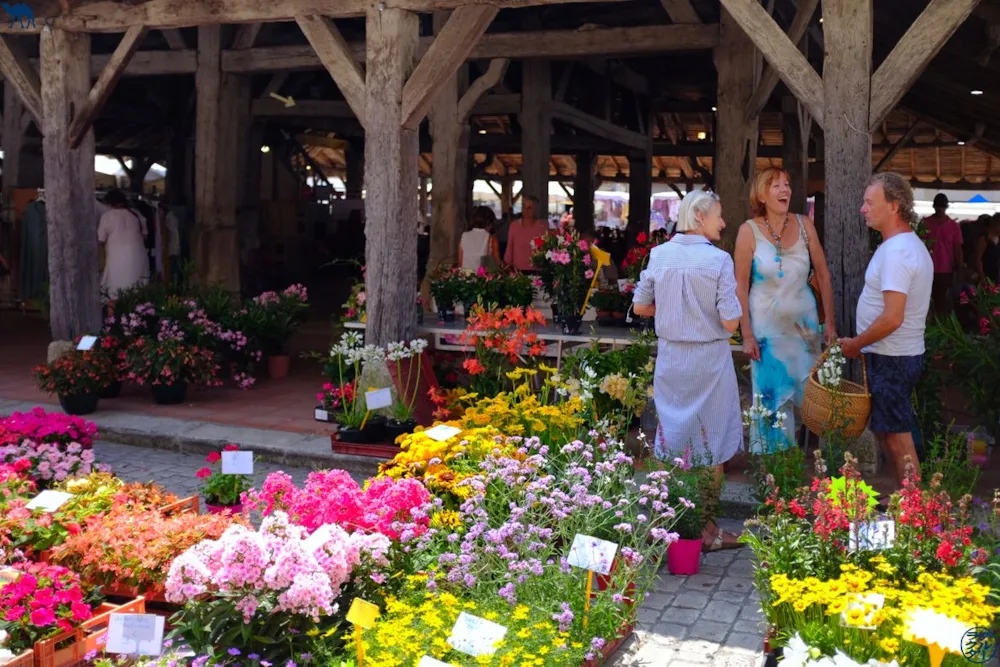 Camping FONTAINE DU ROC