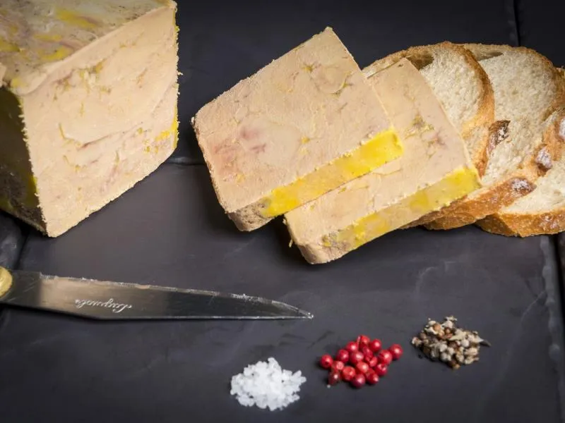 Camping FONTAINE DU ROC