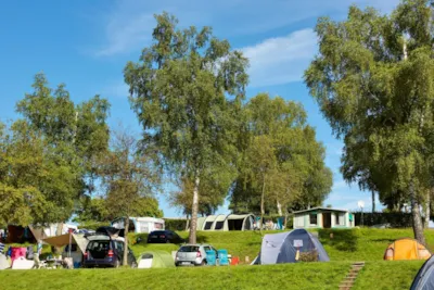 Camping Floreal Du Viaduc - Wallonië