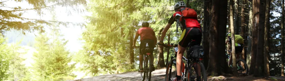 Le Hameau de l'Ourthe