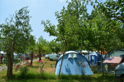 Pitch - 6A