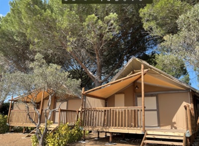Tente Lodge Safari - 26m² - Glamping — 1