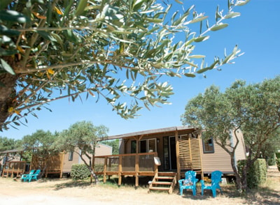 Mobile home Moustiers - 32m2- Dishwasher + TV + Air conditioning — 1