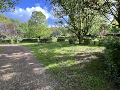 Camping package (pitch, 1 vehicle) — 3