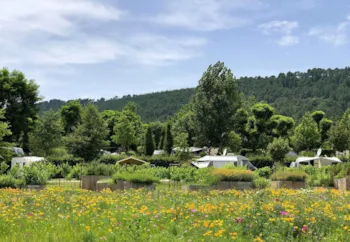 Stellplatz - Pauschale Wanderer - Camping de L'Arche