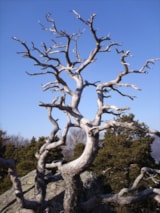 Foto #48 van Domaine du Pra de Mars