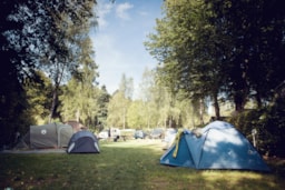 Emplacement - Emplacement Tente - Camping Martbusch