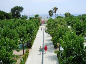 Camping Bellsol - image n°3 - Camping Direct