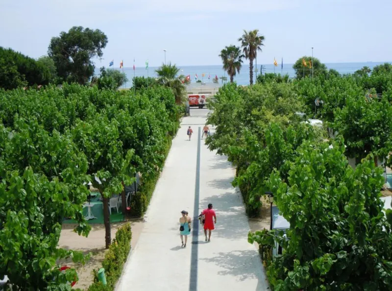 Emplacement + 1 Voiture + Tente, Caravane Ou Camping-Car + Électricité