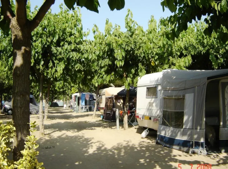 Emplacement + 1 Voiture + Tente, Caravane Ou Camping-Car + Électricité