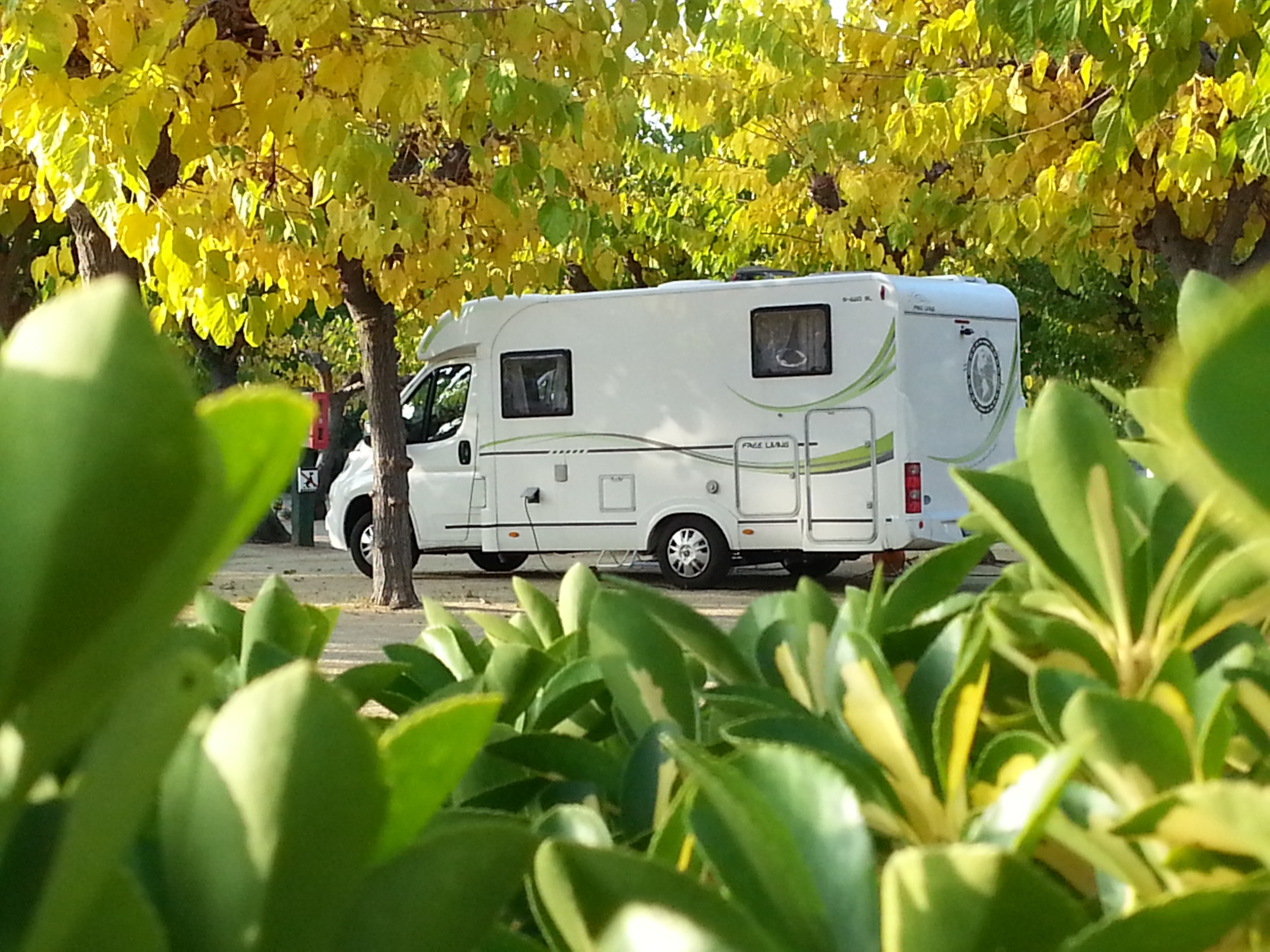 Camping Bellsol — Photo 5