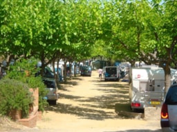 Parcela - Forfait Parcela Con Luz =   2Pax + Coche + Tienda / Caravana O Autocaravana + Electricidad - Camping Roca Grossa