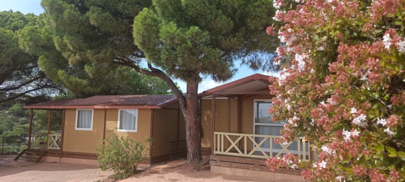 Bungalow Moréa 5pax + CLIM