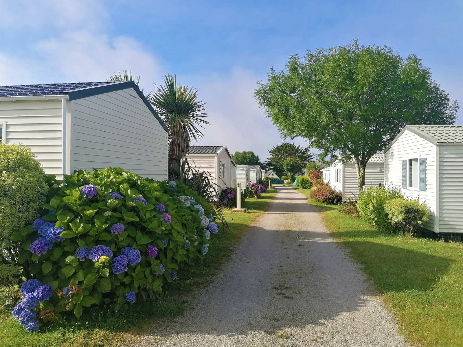 Camping La Corniche*** — Foto 10