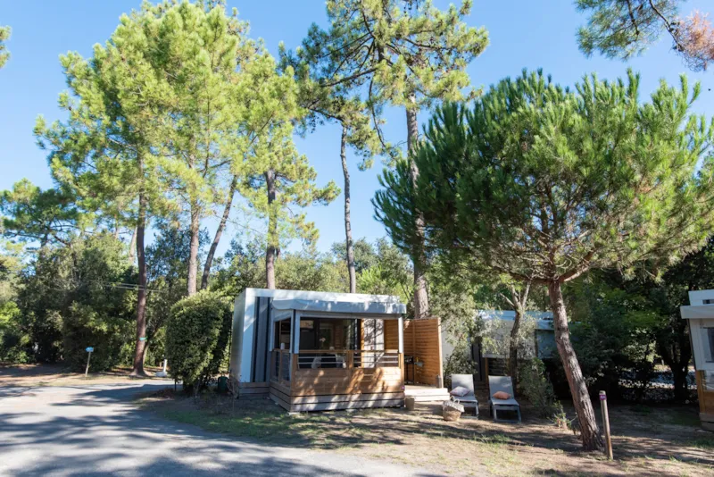 Otello Sabia Signature / S