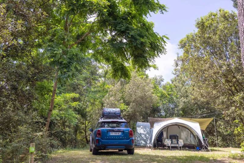 Emplacement Avec Électricité