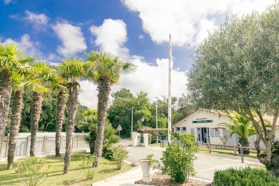 Camping Club La Côte Sauvage - MS Vacances