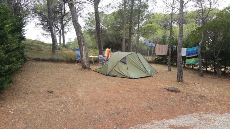 Emplacement Tente/Caravane/Camping Car